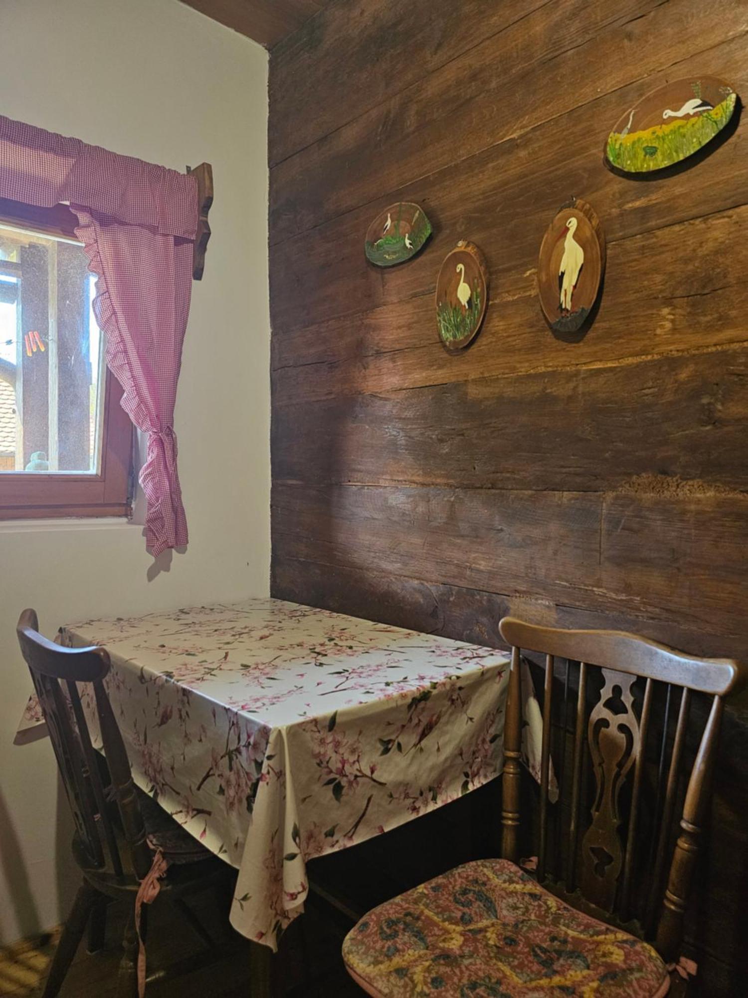 Apartments Kuvarna Cigoc Экстерьер фото